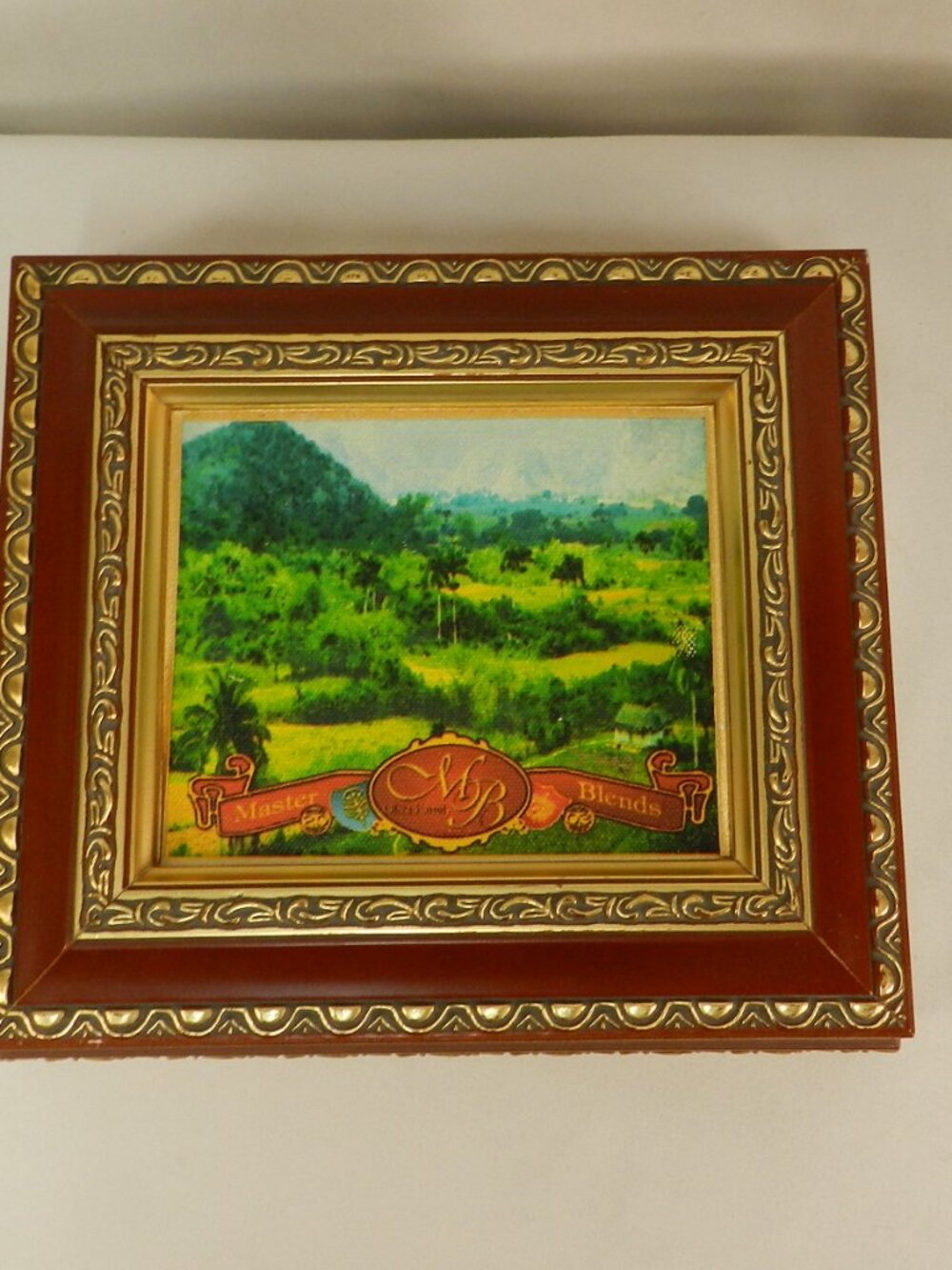 Olivia Master Blends Wooden Cigar Box Brass Canvas Velvet lined 9" x 10" tobacco